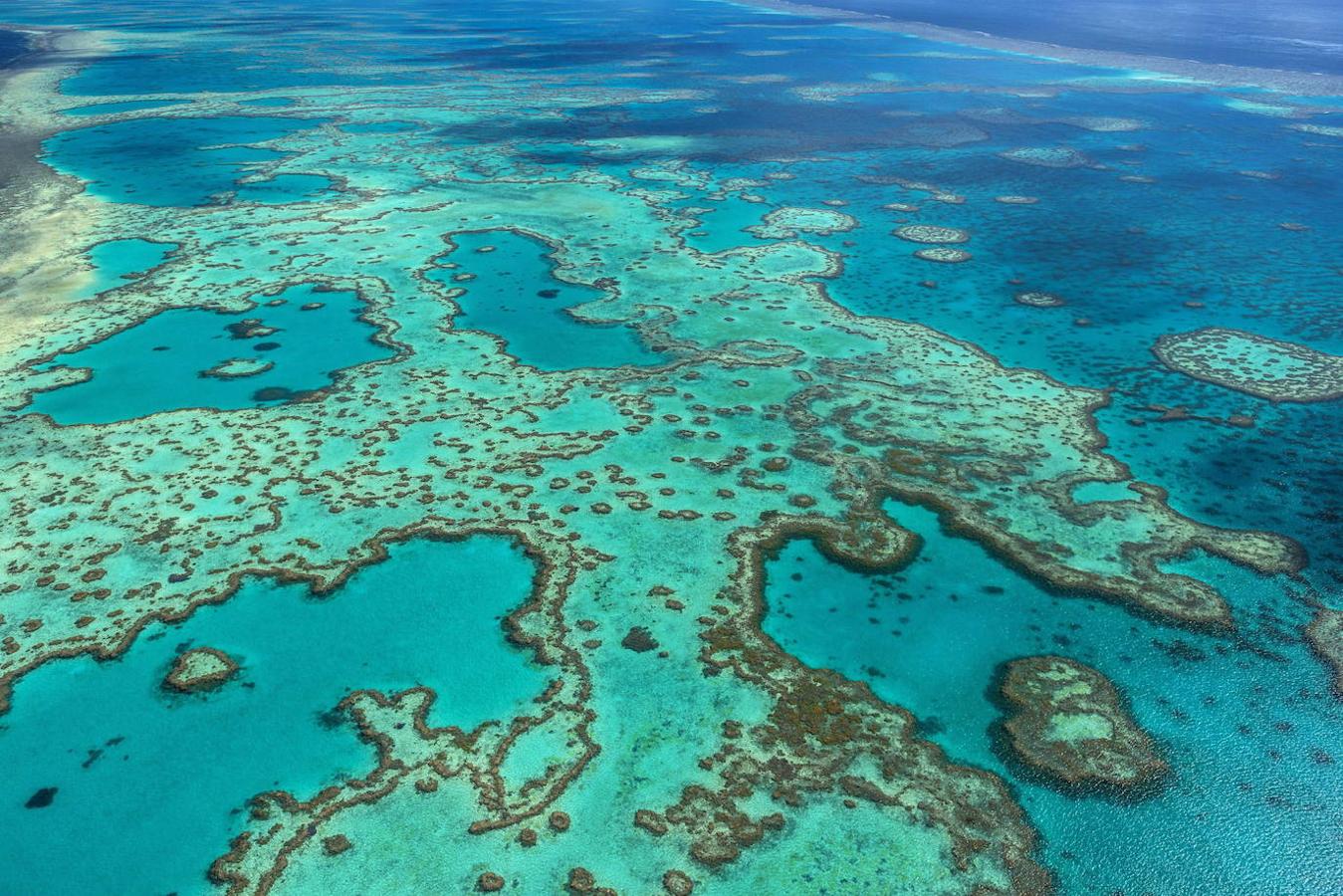 La Gran Barrera de Coral (Australia): Visible incluso desde la Estación Espacial Internacional, la barrera de coral es sin duda otro de los elementos más reconocibles de nuestro planeta y también uno de los más impresionantes por su gran belleza. Esta barrera se extiende a lo largo de nada menos que 2.500 kilómetros, frente al estado de Queensland. De ahí que muchos la consideren como el ser vivo más grande del planeta, con una extensión de casi 35 millones de hectáreas con hasta 70 hábitats diferentes.