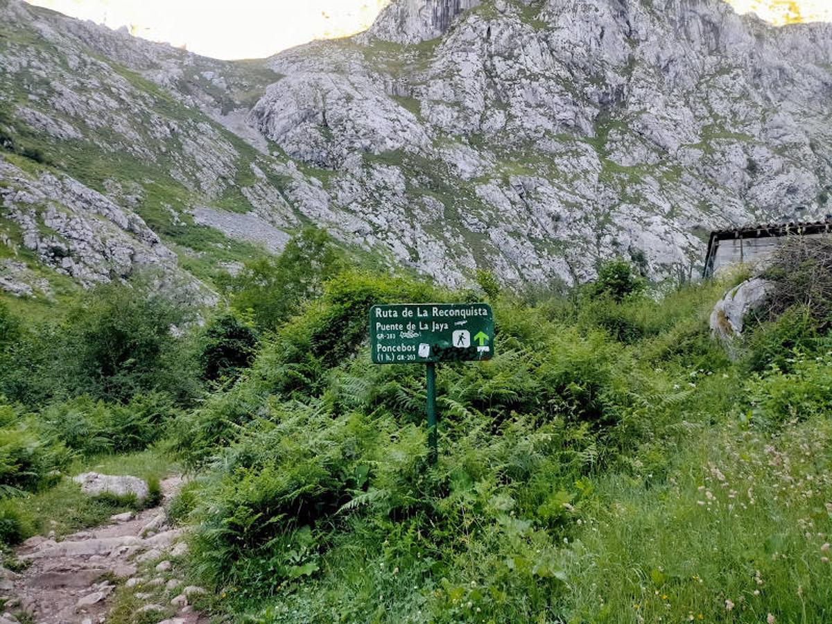 Fotos: Desde Poncebos al Picu Urriellu por la Ruta de la Reconquista