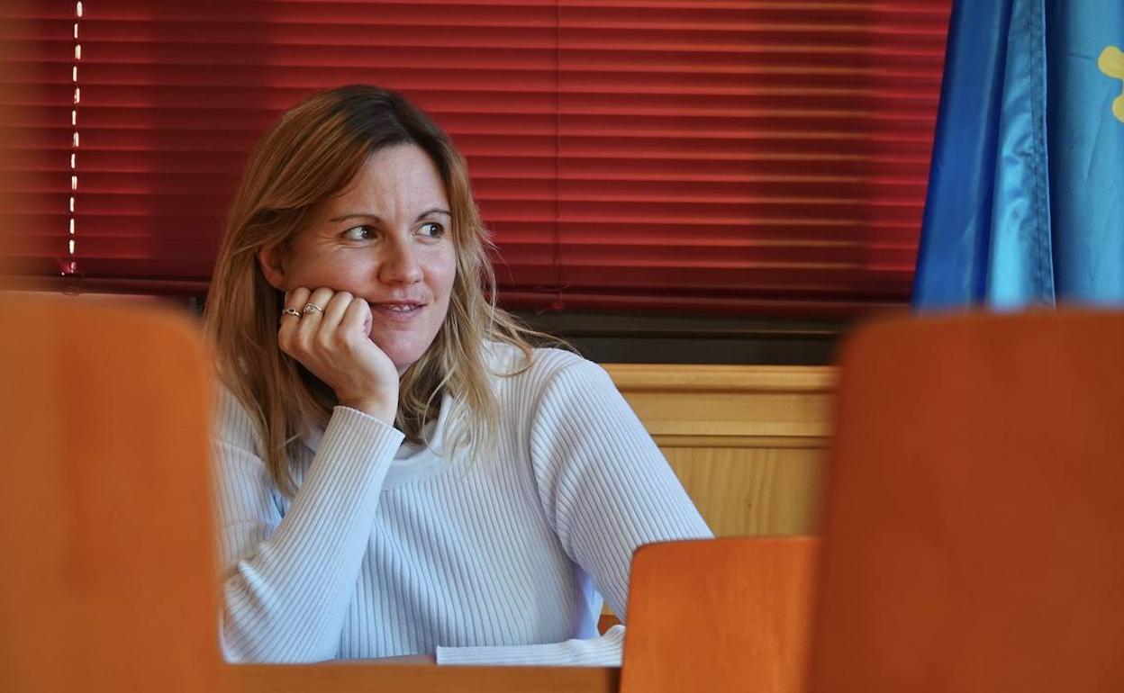 El Pleno de Ponga vuelve a reclamar a los exalcaldes de Foro que paguen su deuda