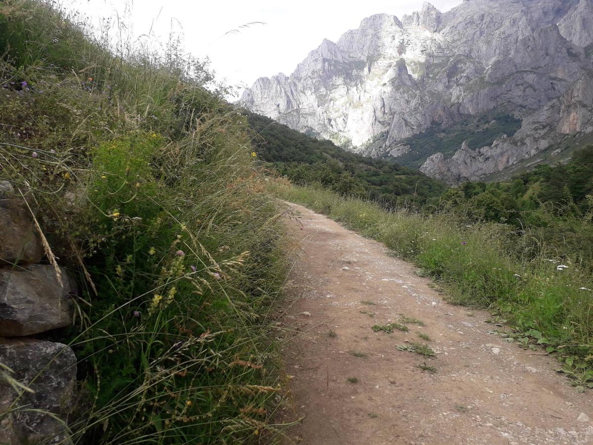 Fotos: Ruta desde Posada de Valdeón a Caín