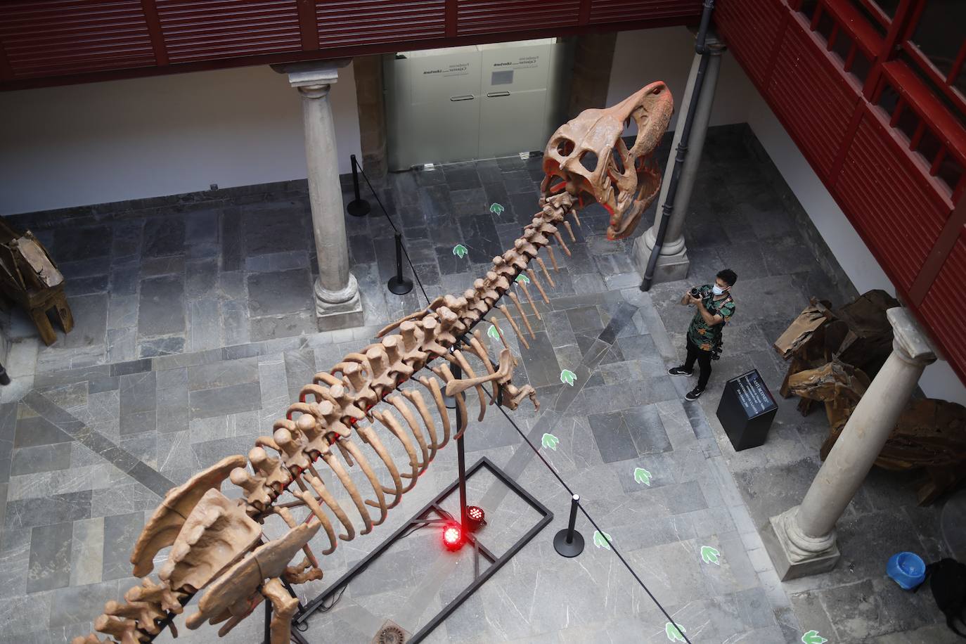 El Palacio de Revillagigedo, en Gijón, expone catorce dinosaurios animados y ofrece múltiples actividades hasta el día 29 de agosto