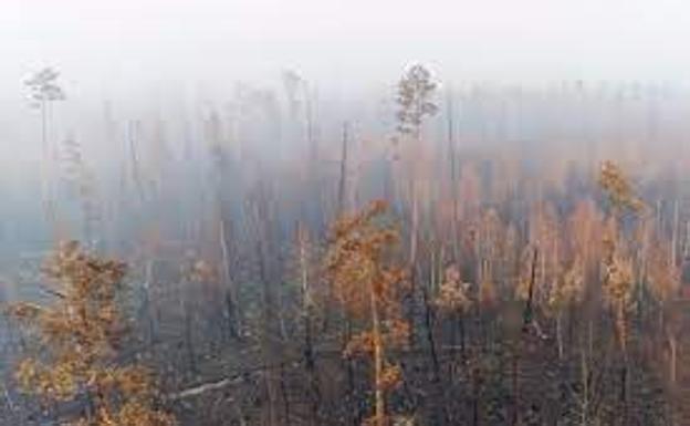 Incendios en Siberia 