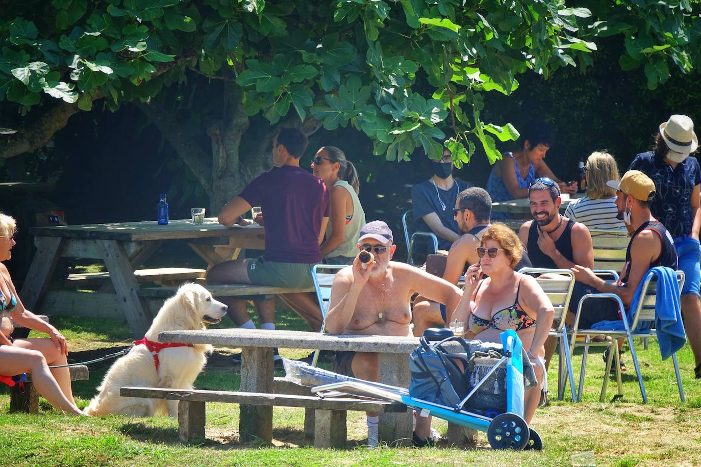 Playas y piscinas con gran afluencia para combatir las temperaturas veraniegas de las que disfruta la región