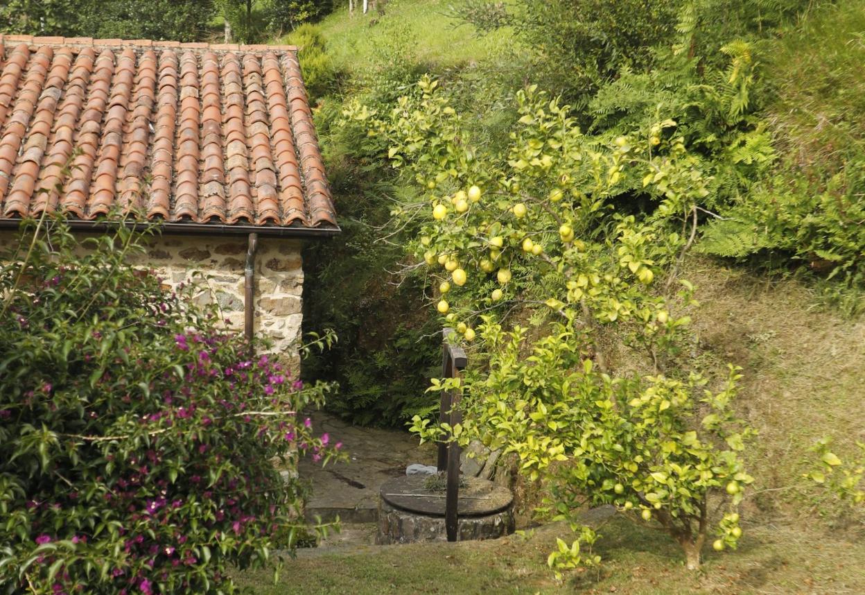 El trabajador se cayó desde una finca situada a la derecha en la imagen al patio trasero de esta casa de San Martín de Luiña. 