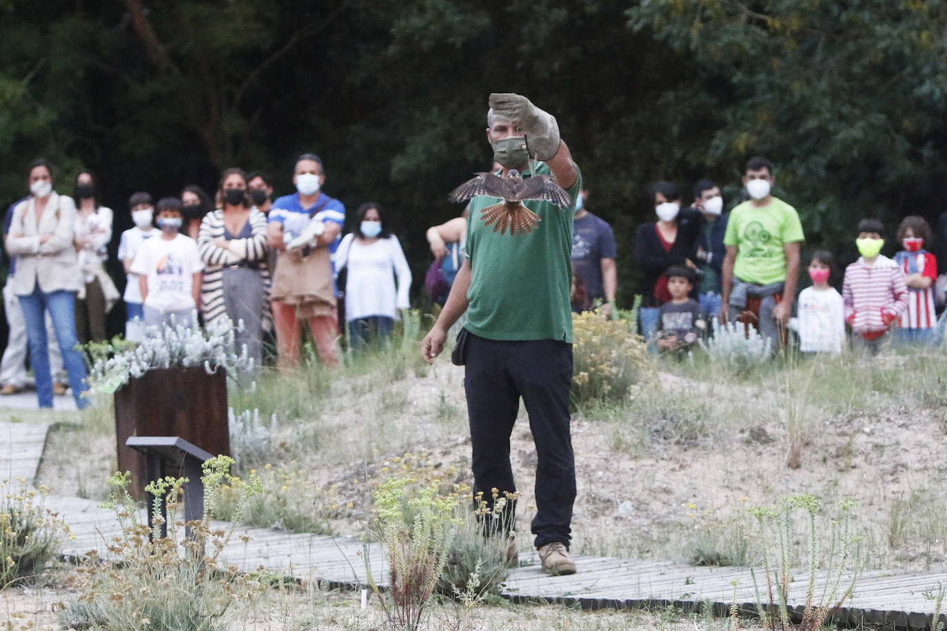 Anoche tuvo lugar la primersa sesión de Nocturnia, donde las aves rapaces ofrecieron una visita guiada a los turistas, además de una velada informativa donde los distintos búhos del grupo Aviar brillaron con luz propia bajo la atenta mirada de los espectadores. Además, durante la velada los asistentes tuvieron la ocasión de aprende run poco más sobre las costumbres y hábitos de las aves rapaces, así como los motivos por los que estas se encuentran en riesgo de extinción debido a la acción humana y el cambio climático. Una noche mágica que enseña la importancia del medioambiente.