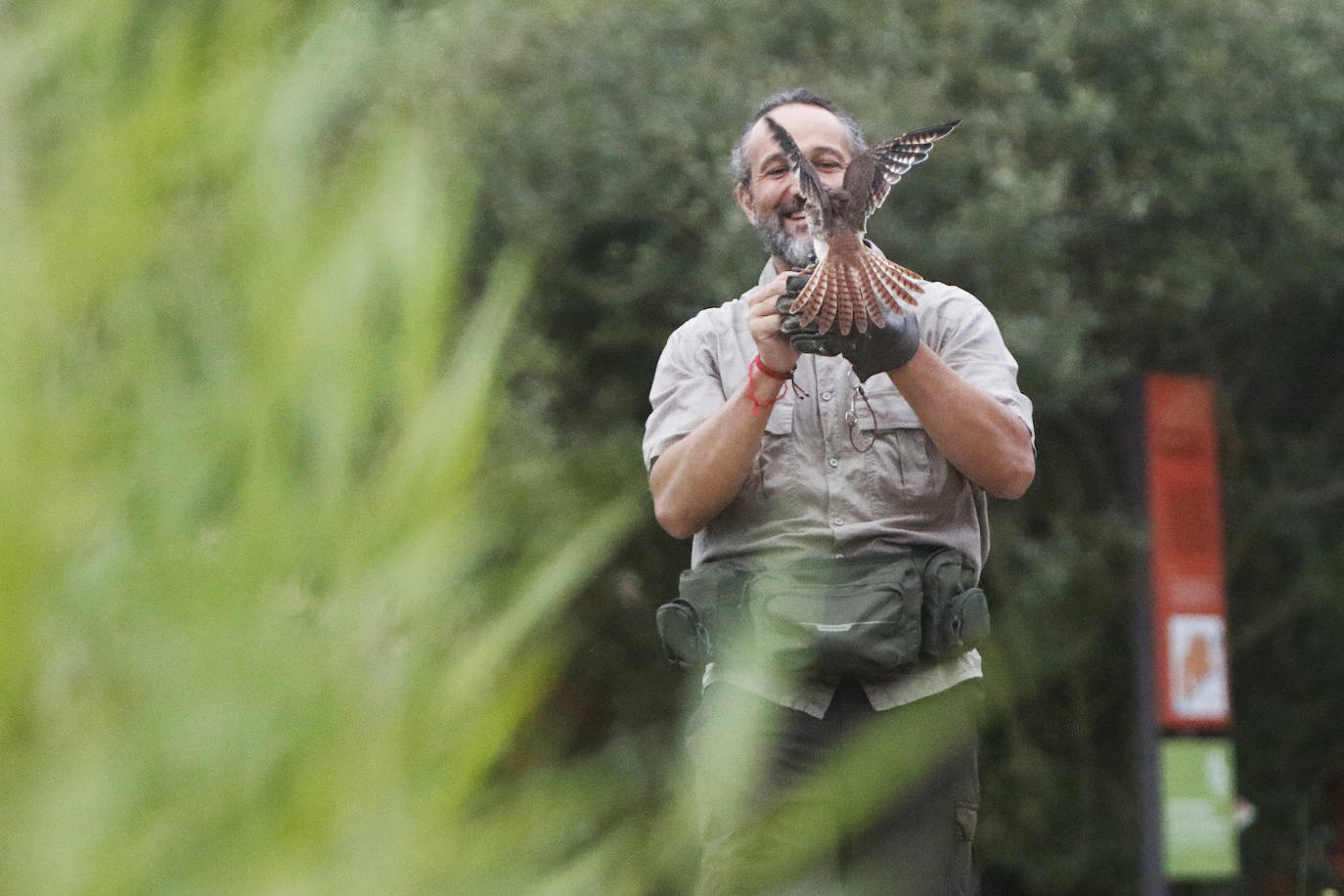 Anoche tuvo lugar la primersa sesión de Nocturnia, donde las aves rapaces ofrecieron una visita guiada a los turistas, además de una velada informativa donde los distintos búhos del grupo Aviar brillaron con luz propia bajo la atenta mirada de los espectadores. Además, durante la velada los asistentes tuvieron la ocasión de aprende run poco más sobre las costumbres y hábitos de las aves rapaces, así como los motivos por los que estas se encuentran en riesgo de extinción debido a la acción humana y el cambio climático. Una noche mágica que enseña la importancia del medioambiente.