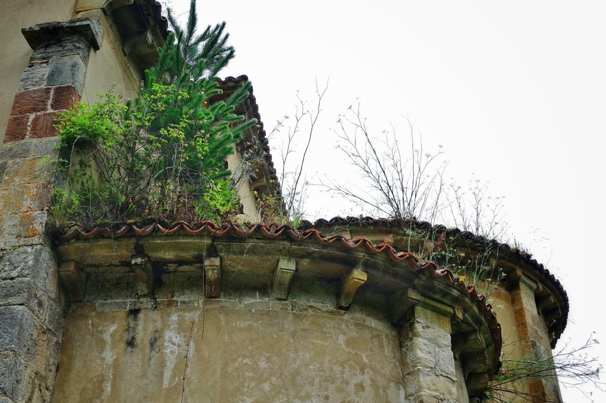 La vegetación e incluso pinos cubren las paredes y el tejado.