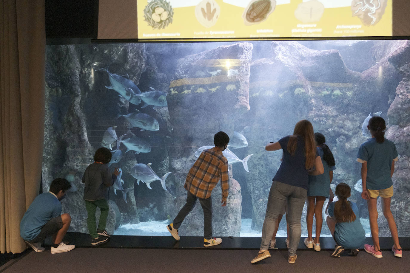 La temporada estival está siendo un completo éxito; las playas y terrazas se llenan y los asturianos cada vez tienen más ganas de disfrutar de la naturaleza, de las romerías con un culín en mano naturaleza, y de las múltiples propuestas culturales que ofrece nuestra región.