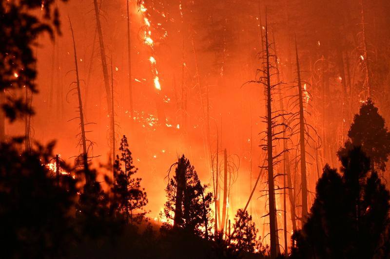 Imágenes del voraz incendio que consume los bosques de California.