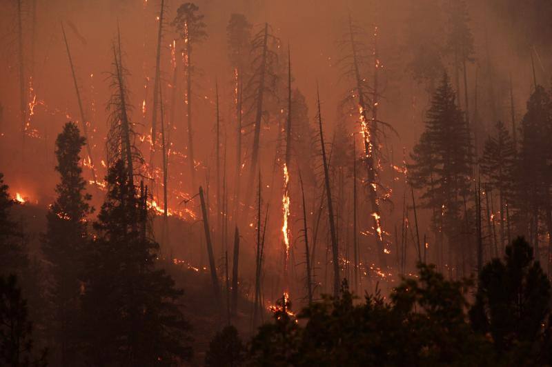 Imágenes del voraz incendio que consume los bosques de California.