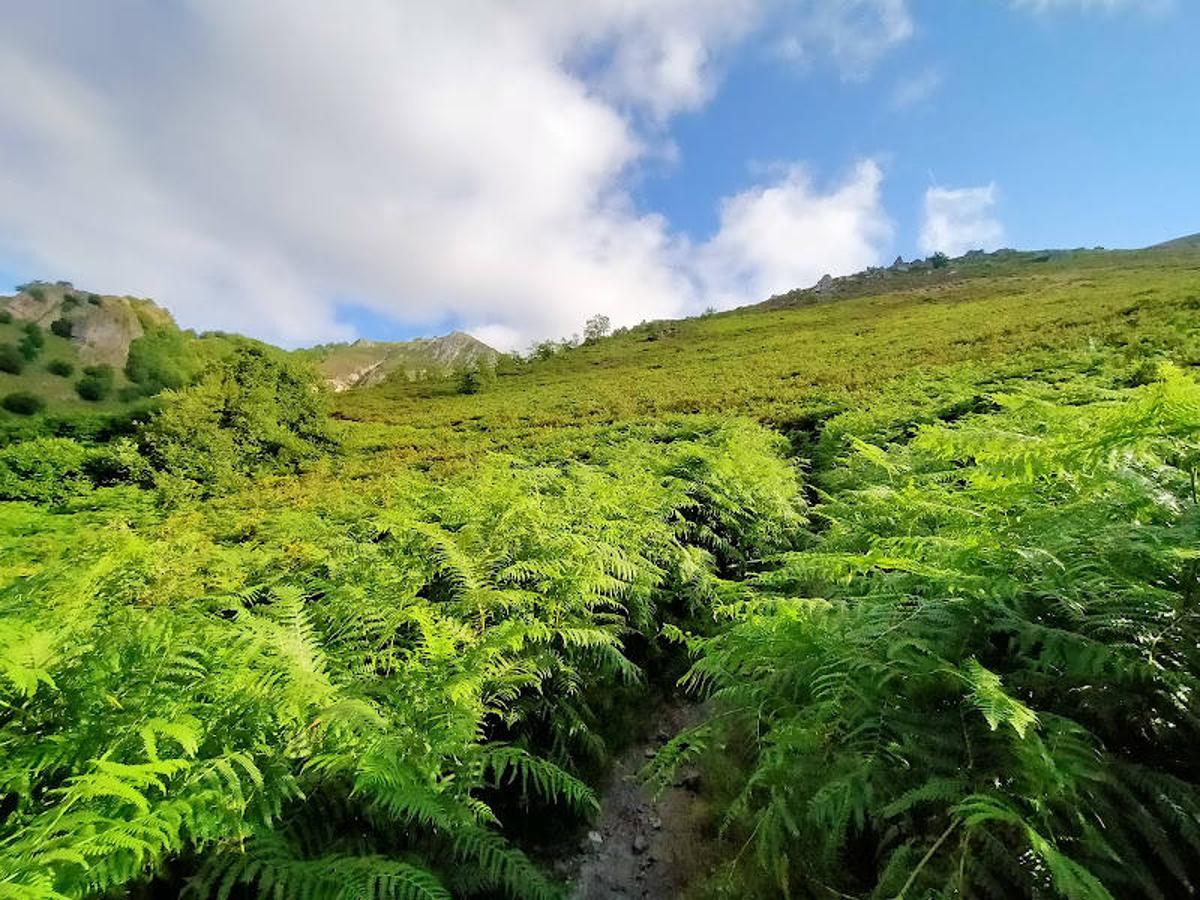 Fotos: Ruta de las Brañas de Felechosa