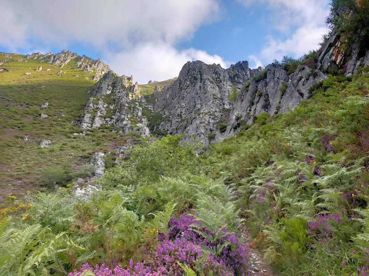 Fotos: Ruta de las Brañas de Felechosa