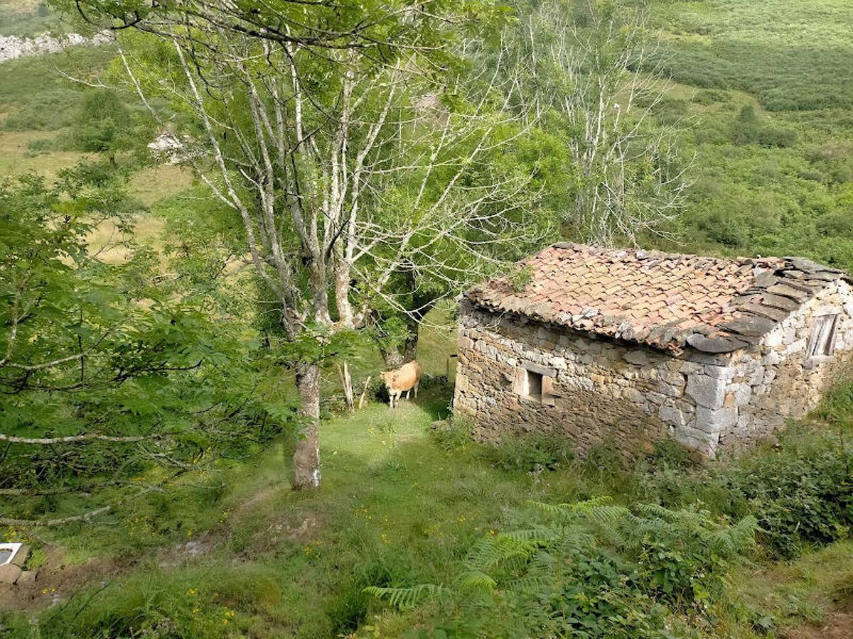 Fotos: Ruta de las Brañas de Felechosa