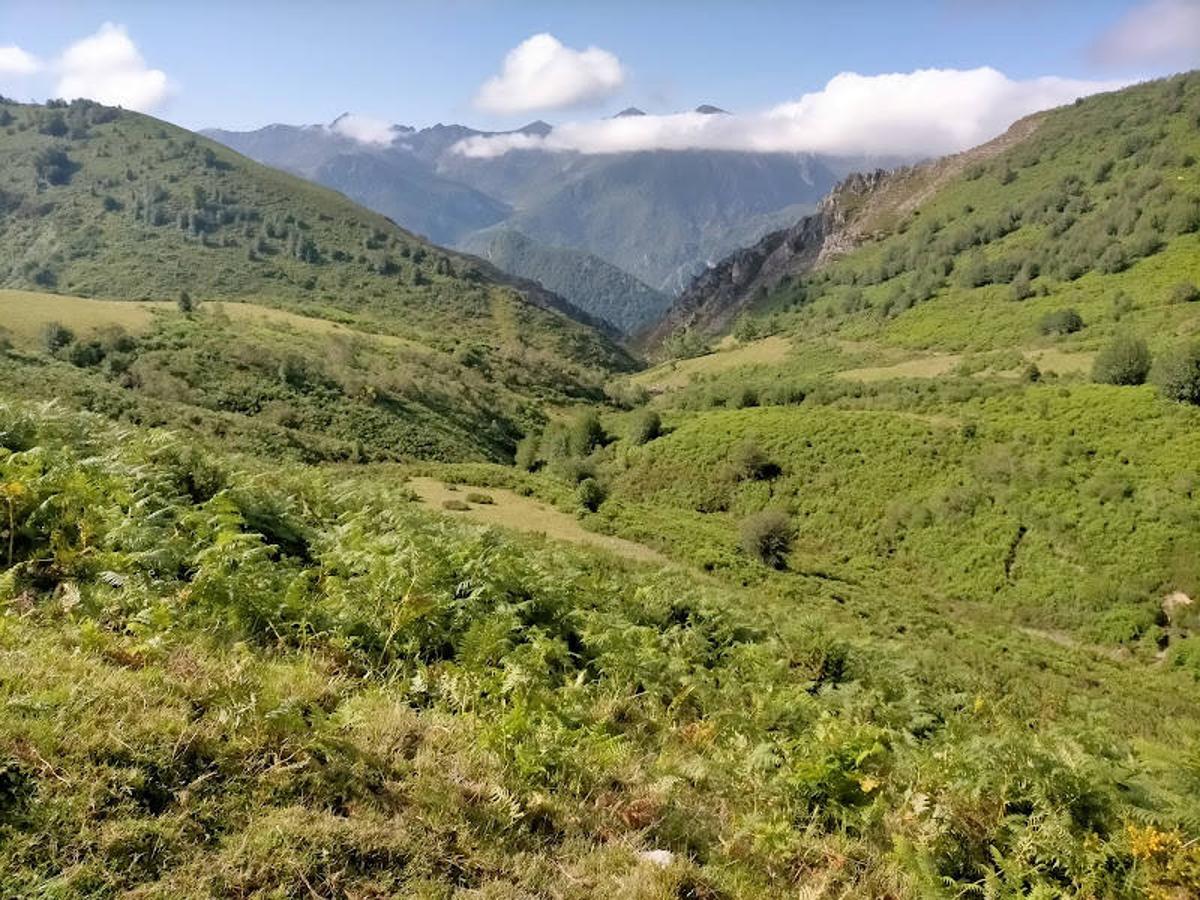 Fotos: Ruta de las Brañas de Felechosa