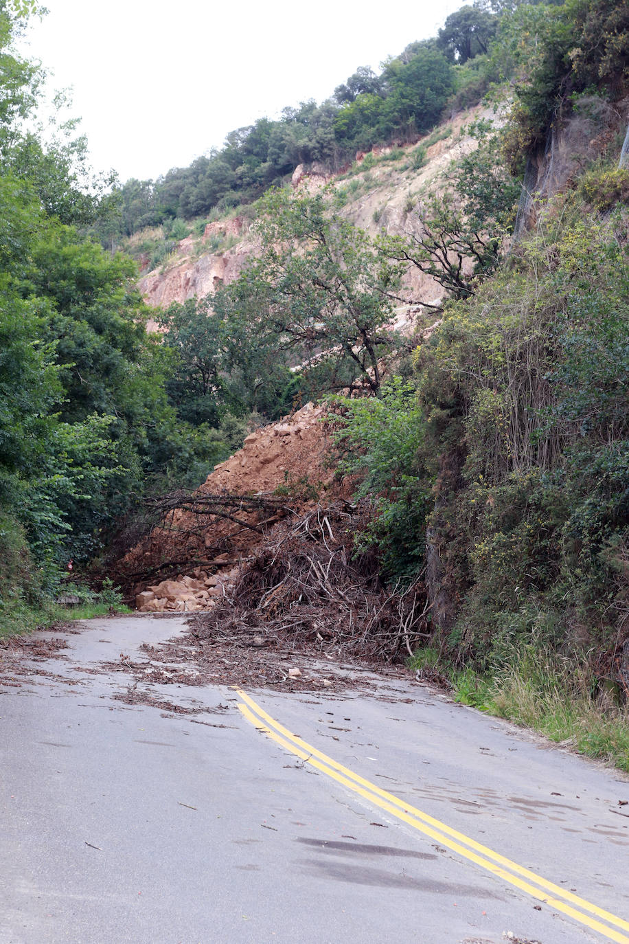 Parte de las subvenciones recibidas cubren la mitad de los costes de operar sobre varios desprendimientos.