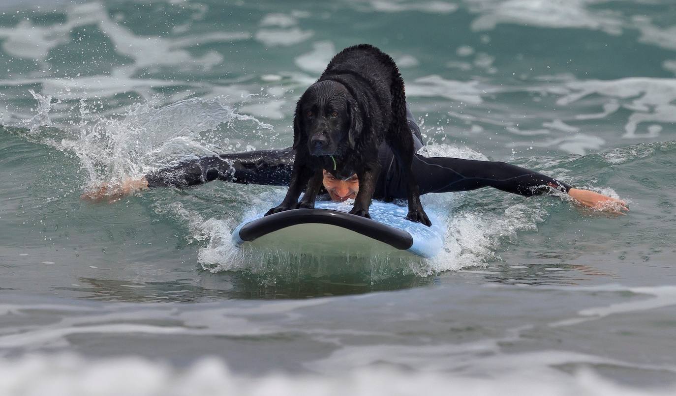 La semana termina con cielo nuboso y máximas en ascenso.