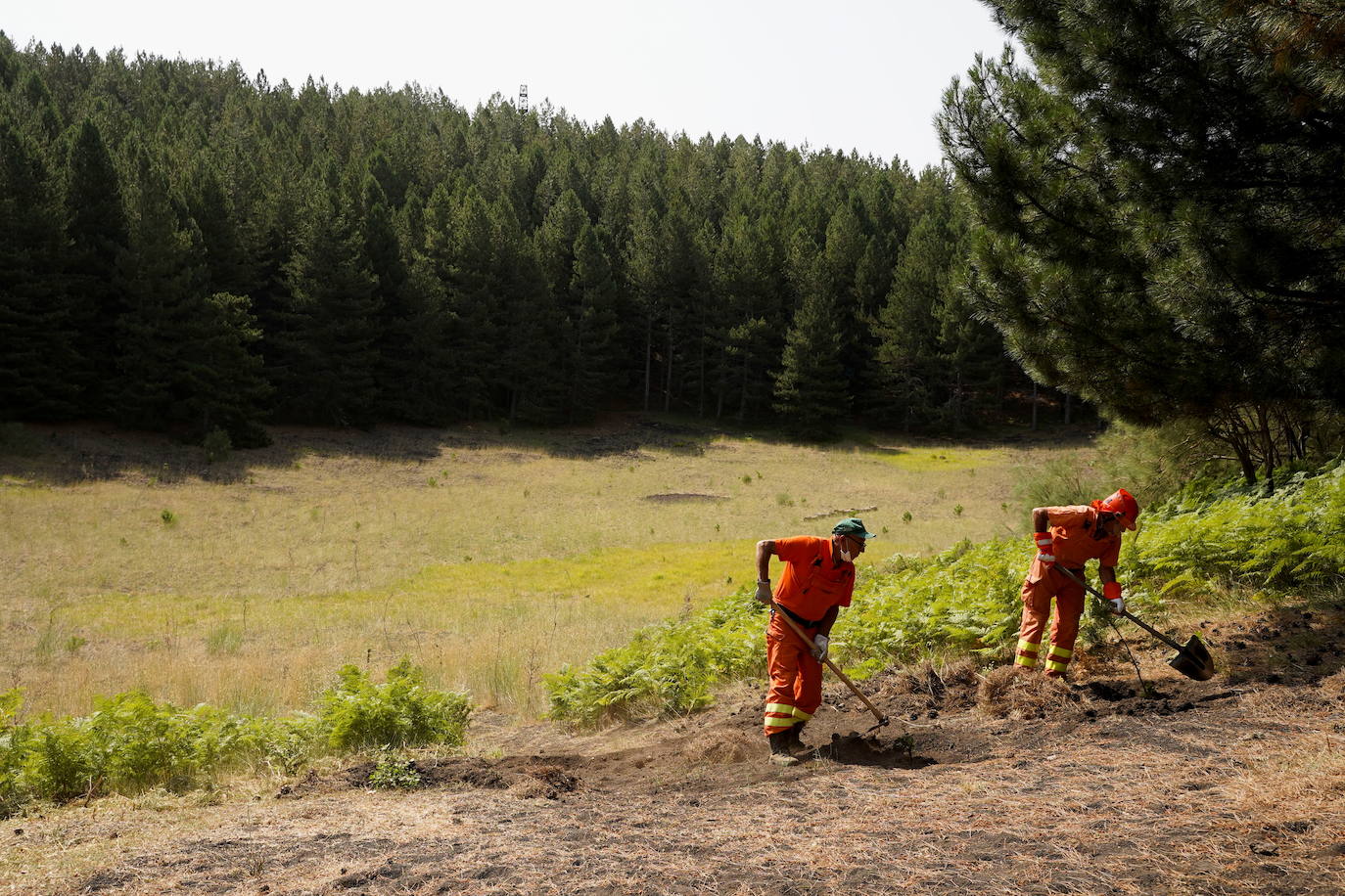 Operarios cavando pozas para evitar eventuales fuegos, guardias oteando a través de sus prismáticos conatos de incendios y mucho calor, especialmente en las ciudades. La ola de calor Lucifer, que ha traído consigo las que probablemente han sido las temperaturas más elevadas de Europa desde que existen registros, ha dejado en Sicilia el cronómetro próximo a los 50º. En concreto, han sido 48,8º, reguistrados el miércoles en Siracusa, en el sur de la isla. La marca anterior era de 1977, en Atenas.