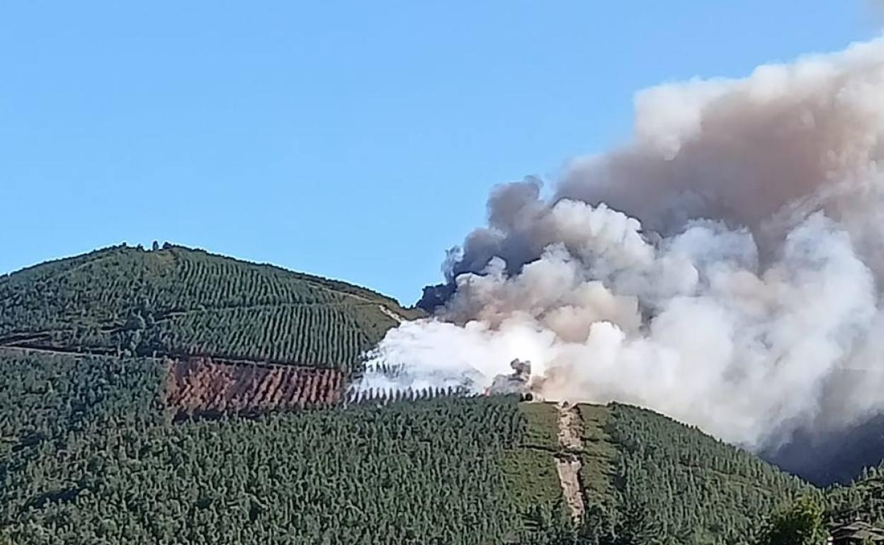 El humo provocado por el fuego 