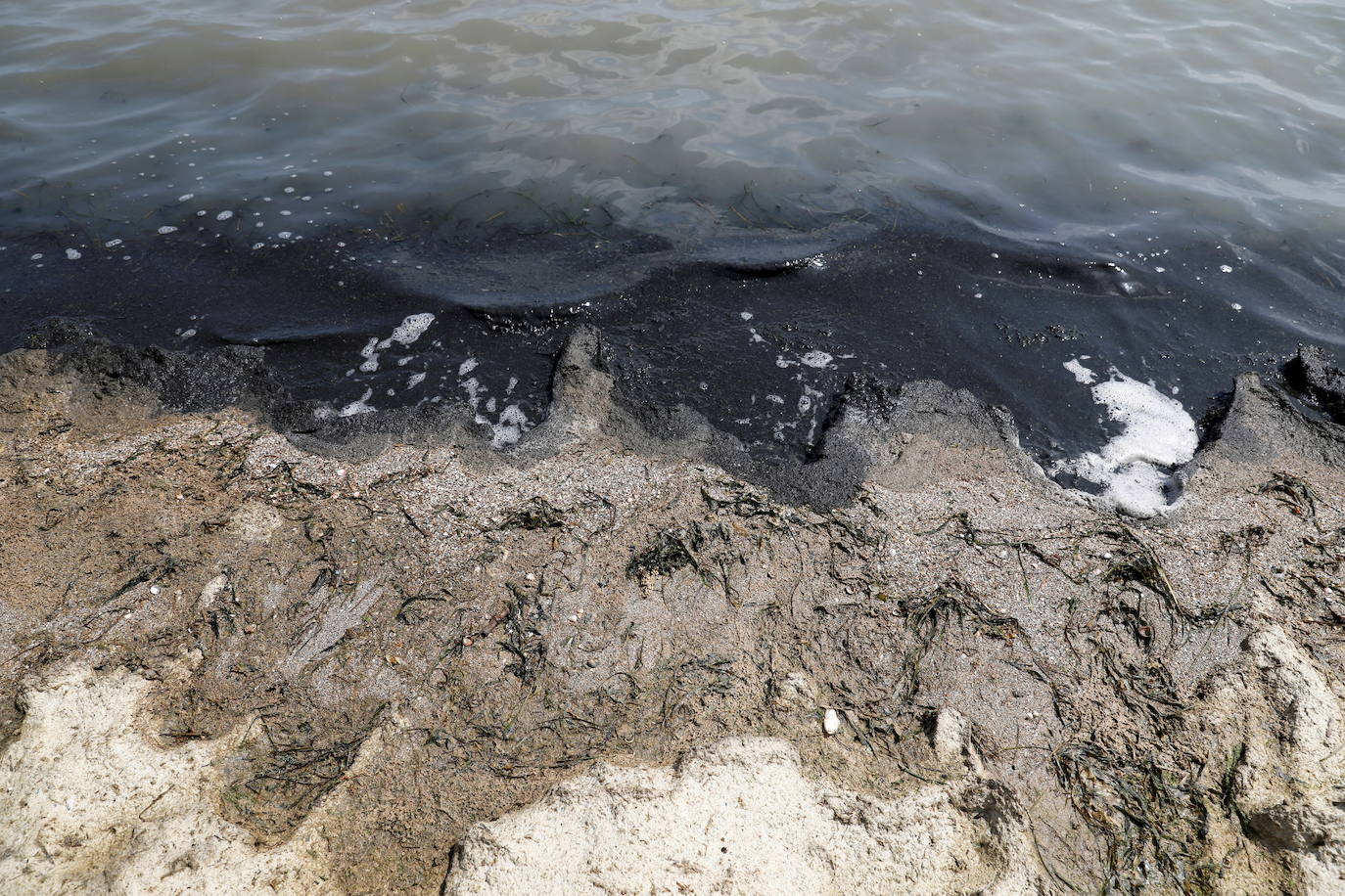 Los episodios de muertes masivas de peces delatan la degradación ecológica de la laguna murciana. Agentes del Seprona de la Guardia Civil han tomado muestras en varios puntos del Mar Menor donde han aparecido ejemplares de peces muertos desde el pasado lunes. El Gobierno regional, por su parte,mantiene un protocolo de vigilancia de agentes medioambientales en la zona sur de la laguna y realizan un control «permanente» en la zona