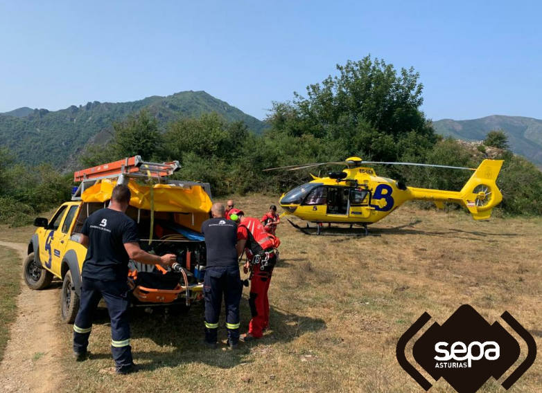 Un hombre de 85 años ha fallecido en un accidente de tráfico en Corés, en Somiedo. El vehículo, en el que viajaba también un hermano del fallecido, de 87 años, y que ha resultado herido grave, se salió de la pista forestal por la que circulaban y cayó varios metros. 