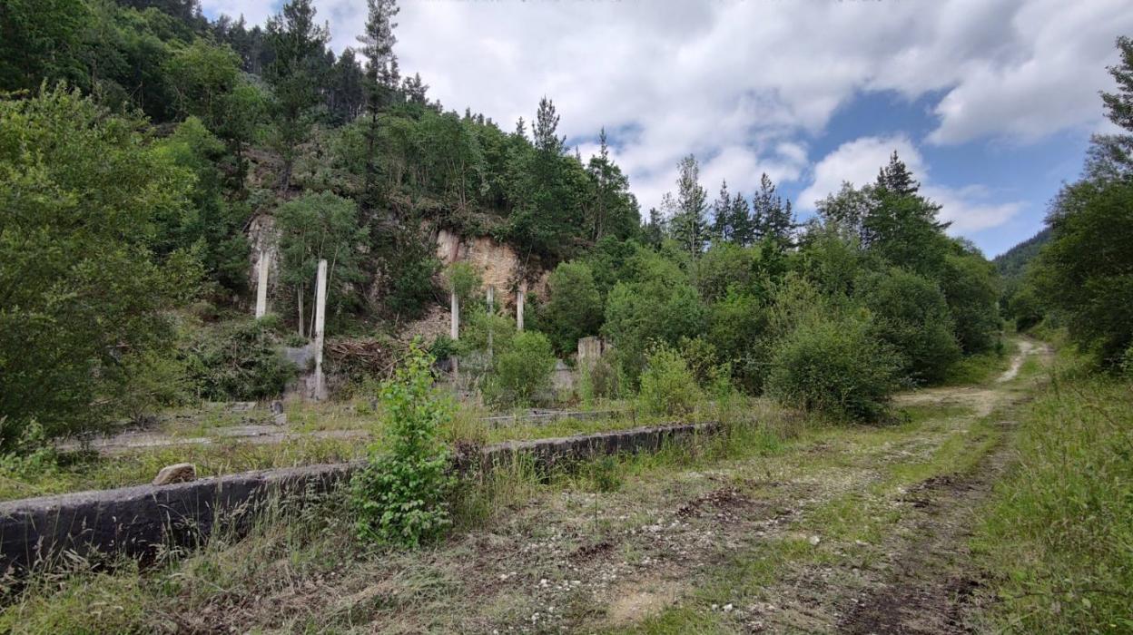 El acceso a la zona en la que se construirá el albergue de animales se hace por una pista forestal y tiene que ser asfaltado. 