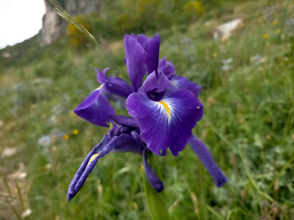 Fotos: Ruta desde Soto de Valdeón al Refugio de Vegabaño