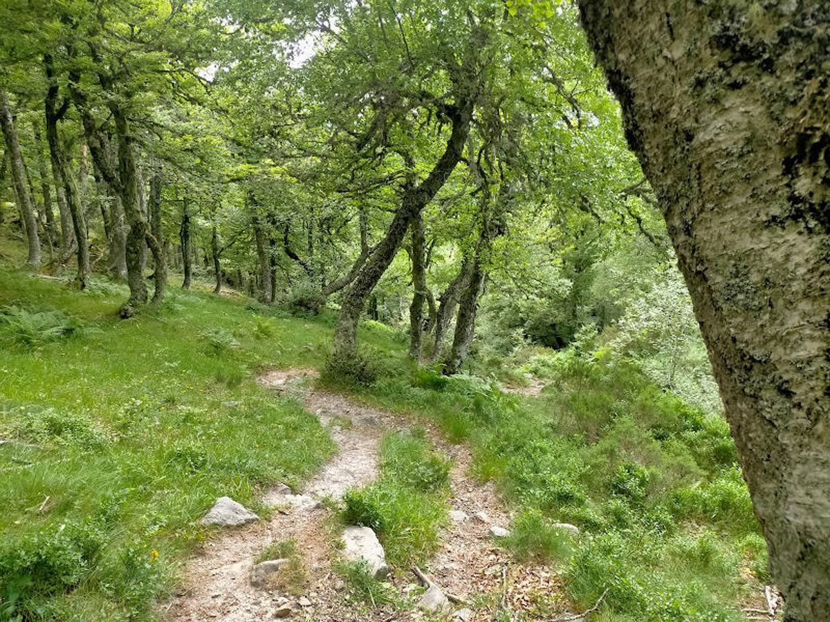 Fotos: Ruta desde Soto de Valdeón al Refugio de Vegabaño