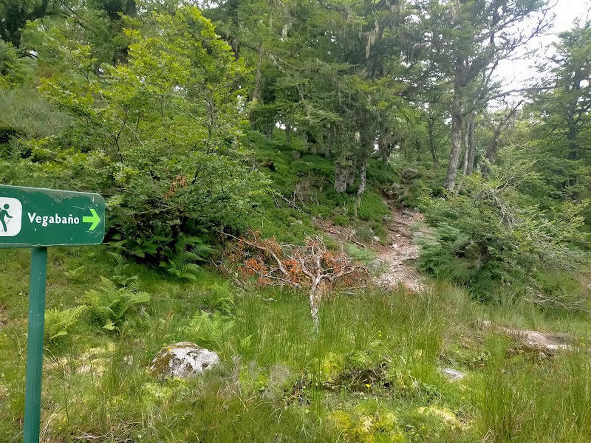 Fotos: Ruta desde Soto de Valdeón al Refugio de Vegabaño