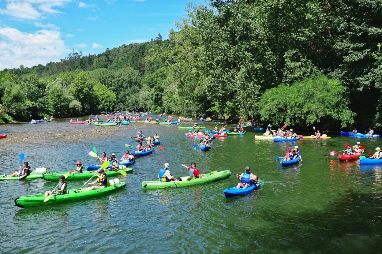 Canoas realizando el descenso del río Sella el pasado jueves 5 de agosto. 