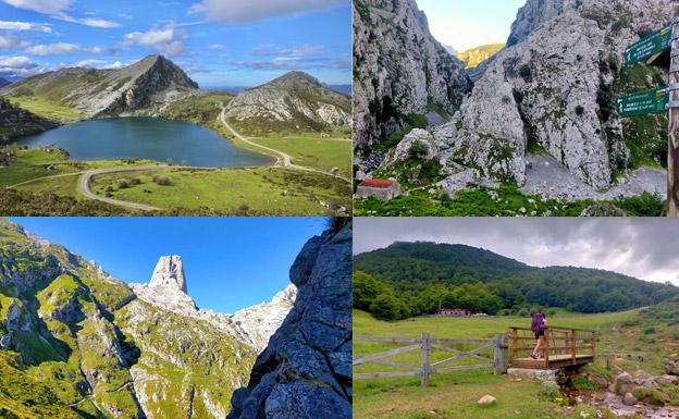 8 rutas inolvidables por los Picos de Europa