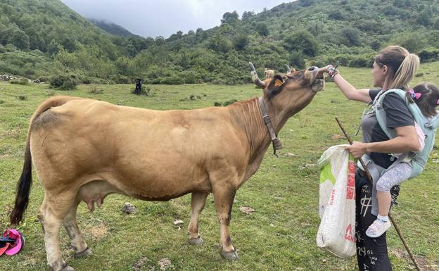 Lucía divide sus días entre el valle y la alta montaña siguiendo los pasos del ganado, como antes su suegra o su abuela