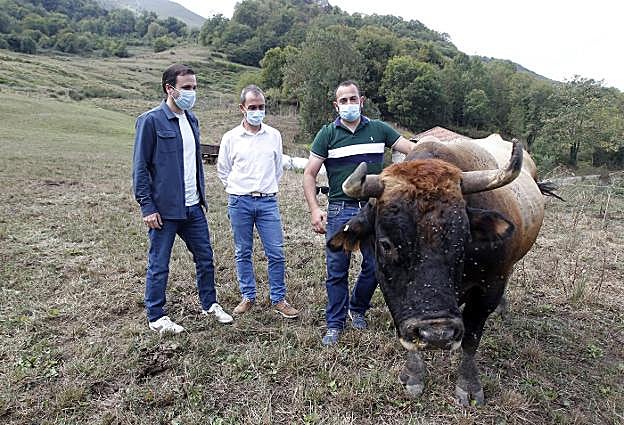 Garzón, acompañado por el coordinador de IU de Asturias, Ovidio Zapico, en su visita a la ganadería del alcalde de Quirós, Rodrigo Suárez. 