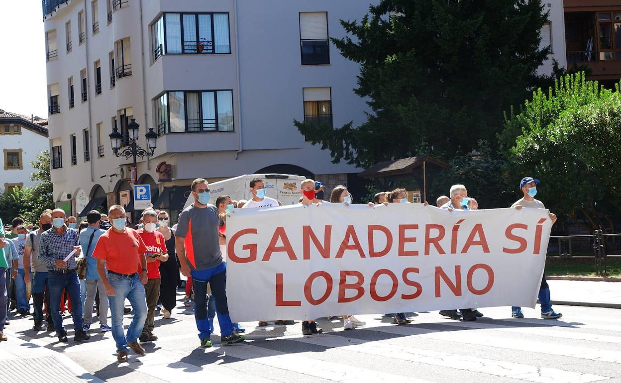 Manifestación de ganaderos en el Oriente de Asturias.