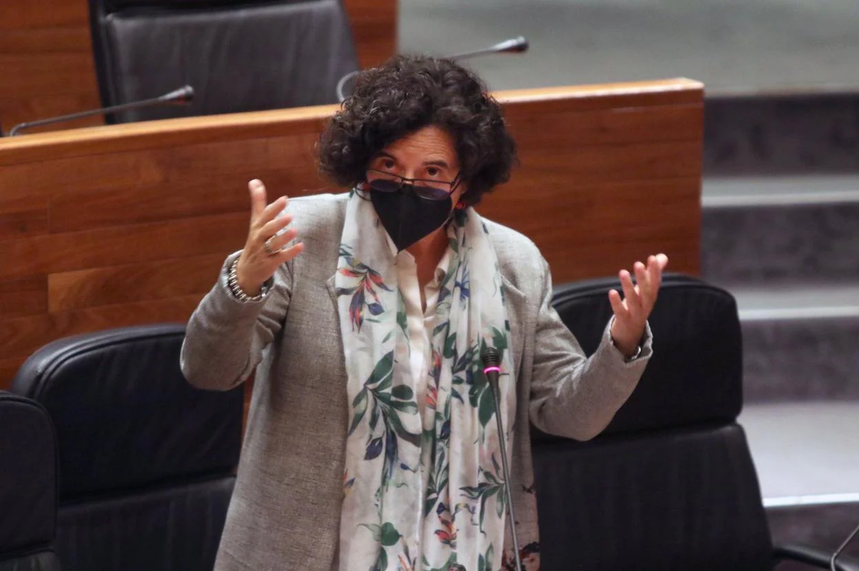 Berta Piñán, durante un debate en la Junta General. 