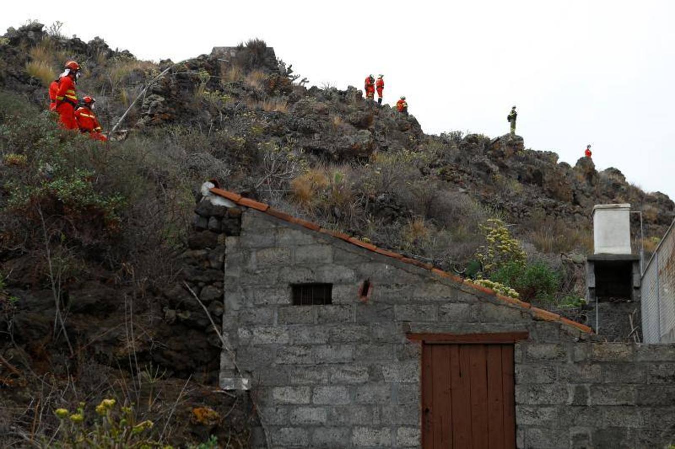 La lengua de lava del volcán de Cumbre Vieja, que entró en erupción el pasado domingo en La Palma, ha arrasado más de 166 hectáreas y centenares edificaciones. Aún sigue en fase explosiva y sus cenizas ya han llegado a la isla de La Gomera. La columna de gases de la erupción ya alcanza una altura de seis kilómetros sobre el nivel del mar. 