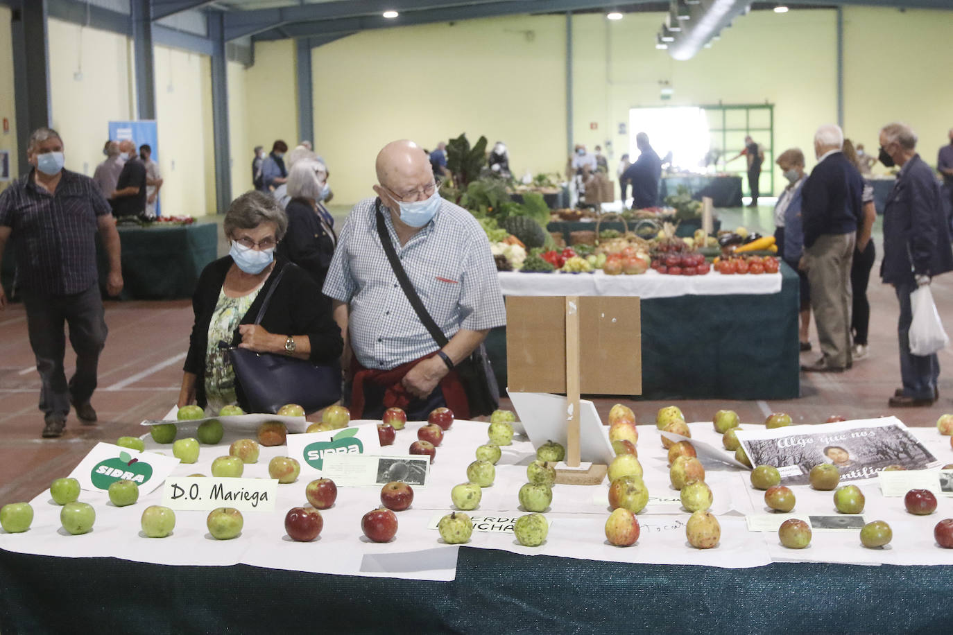 Estas son las mejores imágenes de la jornada de hoy en Agropec.
