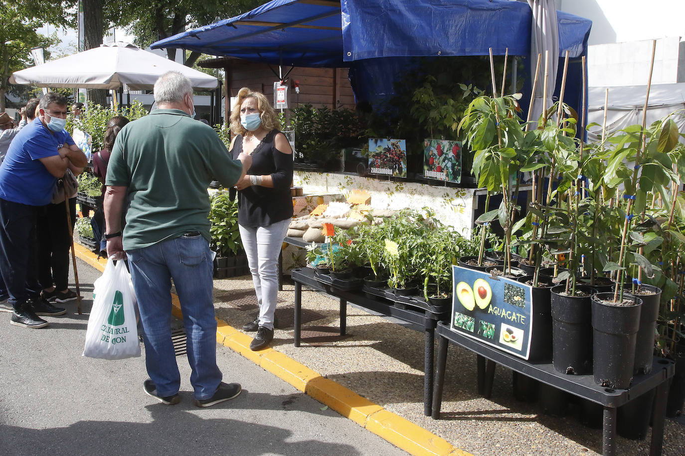 Estas son las mejores imágenes de la jornada de hoy en Agropec.