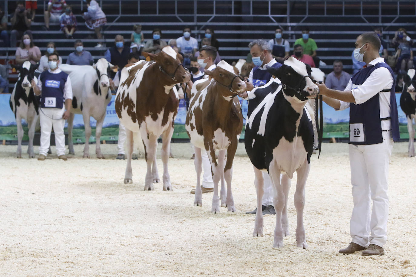 Estas son las mejores imágenes de la jornada de hoy en Agropec.