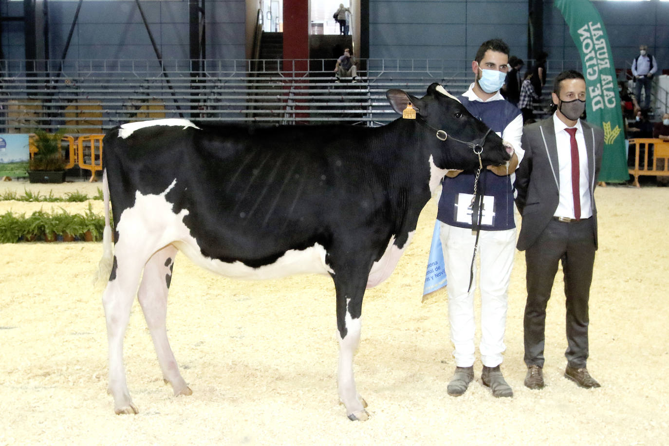 Estas son las mejores imágenes de la jornada de hoy en Agropec.