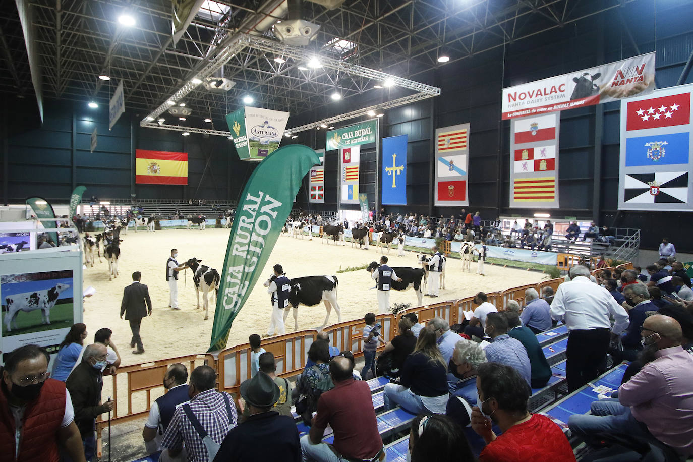 Estas son las mejores imágenes de la jornada de hoy en Agropec.