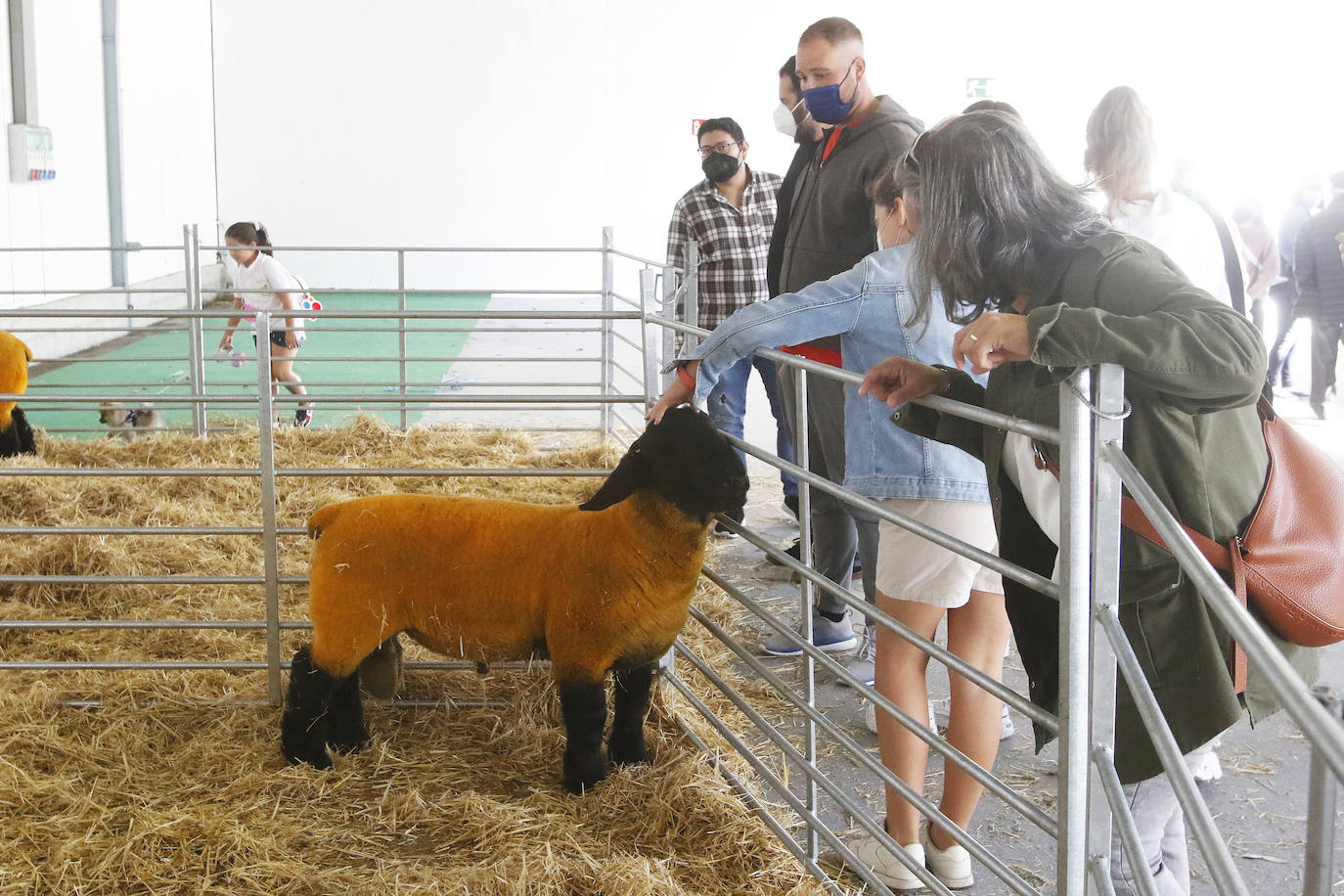 Estas son las mejores imágenes de la jornada de hoy en Agropec.