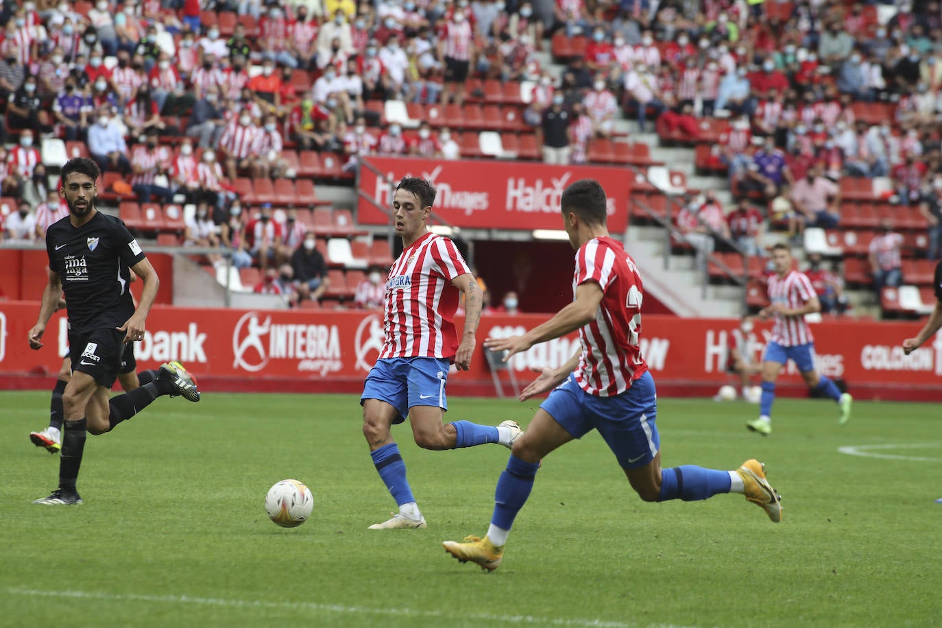 Fotos: Las mejores imágenes del Sporting - Málaga