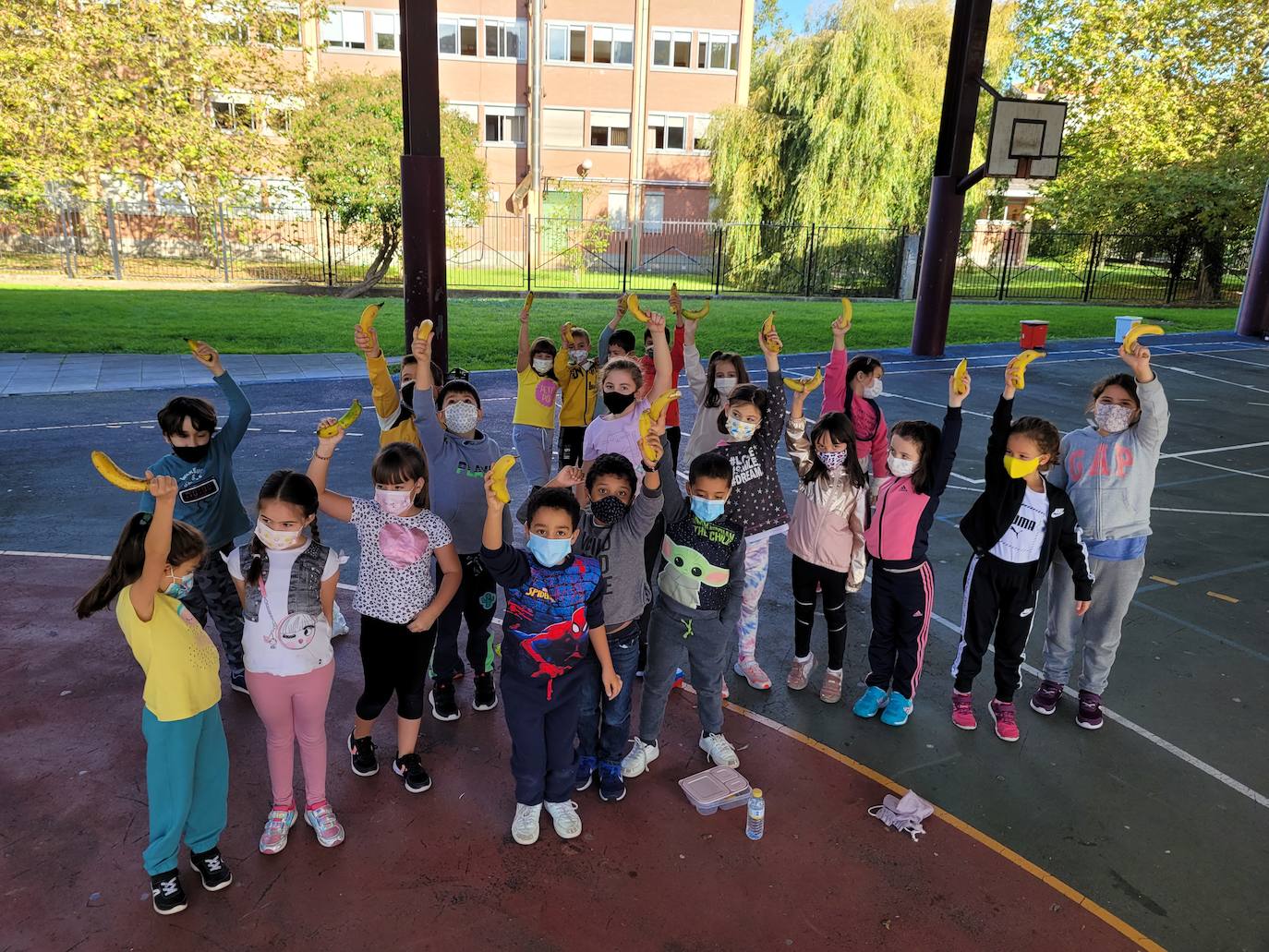 'Un plátano por La Palma'. Es el nombre de la iniciativa solidaria que ha puesto en marcha la Ampa del Colegio Público Cabueñes y a la que se están sumando otros muchos centros de la ciudad. Los niños han llevado al recreo un plátano canario para comérselo todos juntos en apoyo a los agricultores damnificados por la erupción del volcán en La Palma. 