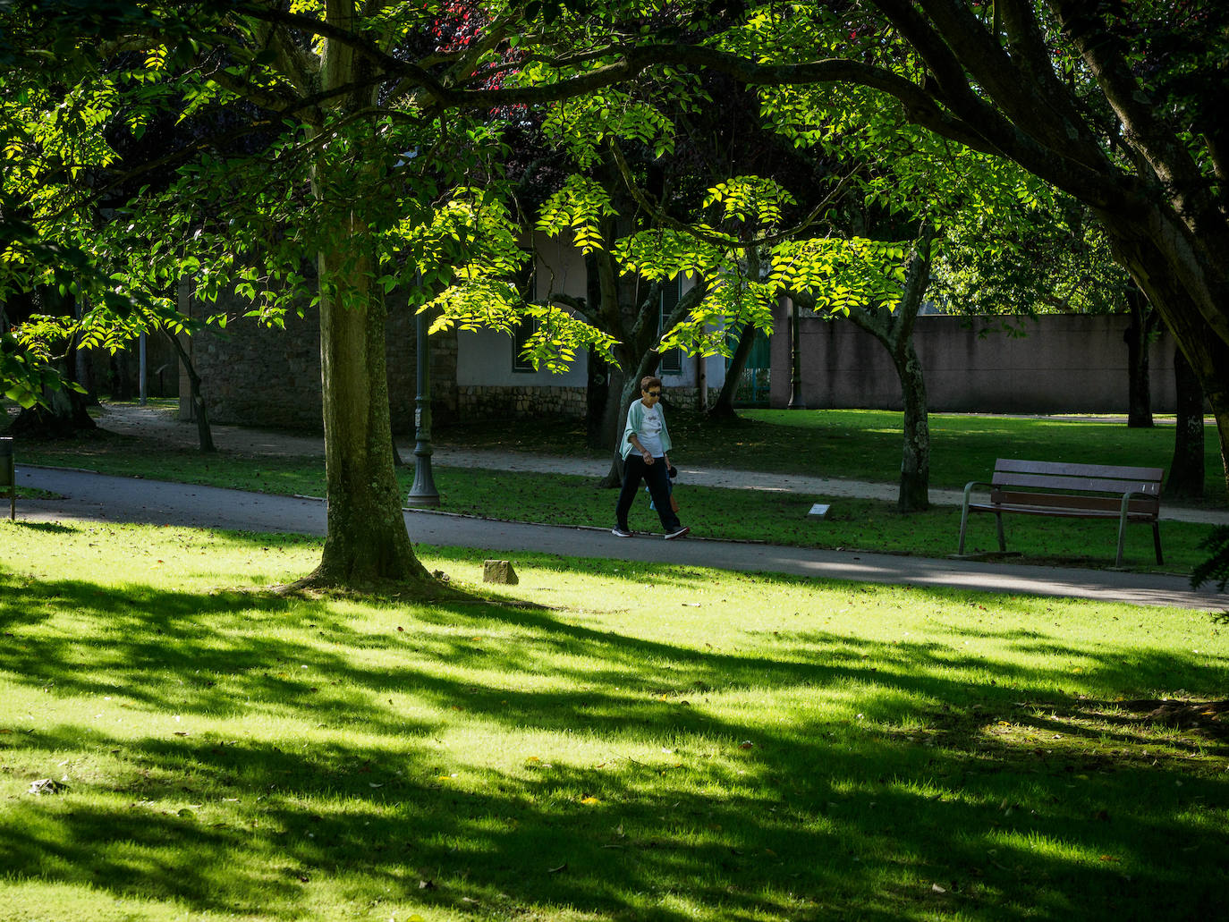 Las mejores instantáneas de este otoño que comienza han sido captadas por los fotógrafos: Mario Rojas, Pablo Lorenzana, Juan Carlos Román, Omar Antuña, Paloma Ucha, Juan Carlos Tuero y Xuan Cueto.