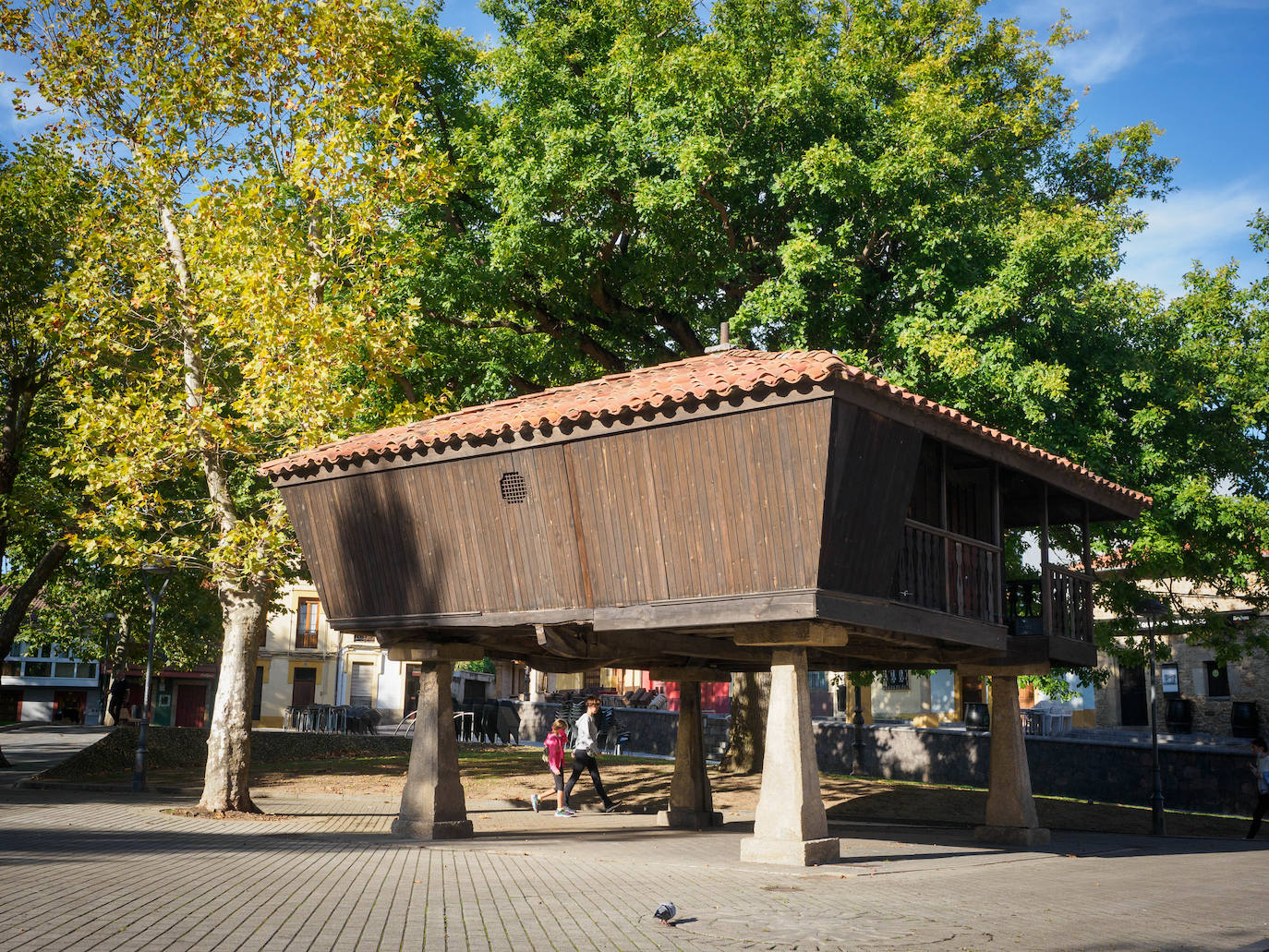 Las mejores instantáneas de este otoño que comienza han sido captadas por los fotógrafos: Mario Rojas, Pablo Lorenzana, Juan Carlos Román, Omar Antuña, Paloma Ucha, Juan Carlos Tuero y Xuan Cueto.