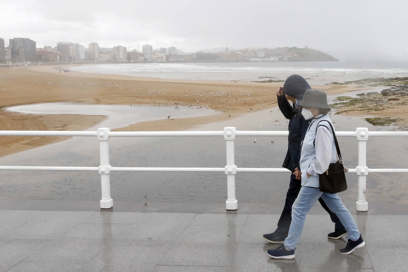 Las mejores instantáneas de este otoño que comienza han sido captadas por los fotógrafos: Mario Rojas, Pablo Lorenzana, Juan Carlos Román, Omar Antuña, Paloma Ucha, Juan Carlos Tuero y Xuan Cueto.