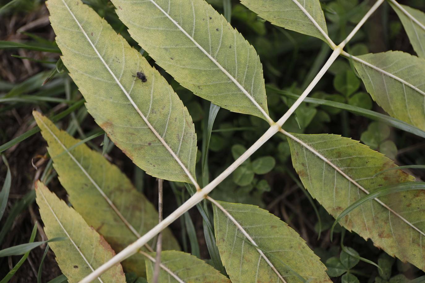 Las mejores instantáneas de este otoño que comienza han sido captadas por los fotógrafos: Mario Rojas, Pablo Lorenzana, Juan Carlos Román, Omar Antuña, Paloma Ucha, Juan Carlos Tuero y Xuan Cueto.