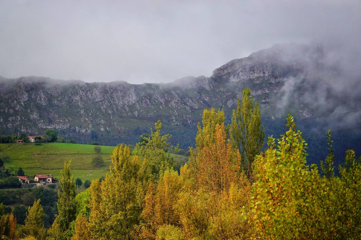 Las mejores instantáneas de este otoño que comienza han sido captadas por los fotógrafos: Mario Rojas, Pablo Lorenzana, Juan Carlos Román, Omar Antuña, Paloma Ucha, Juan Carlos Tuero y Xuan Cueto.