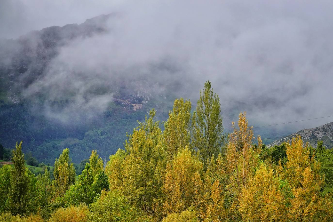 Las mejores instantáneas de este otoño que comienza han sido captadas por los fotógrafos: Mario Rojas, Pablo Lorenzana, Juan Carlos Román, Omar Antuña, Paloma Ucha, Juan Carlos Tuero y Xuan Cueto.
