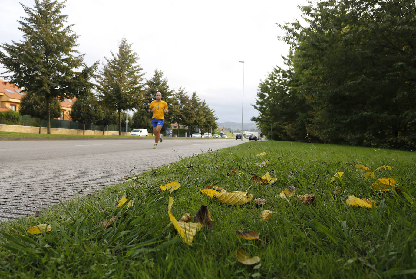 Las mejores instantáneas de este otoño que comienza han sido captadas por los fotógrafos: Mario Rojas, Pablo Lorenzana, Juan Carlos Román, Omar Antuña, Paloma Ucha, Juan Carlos Tuero y Xuan Cueto.